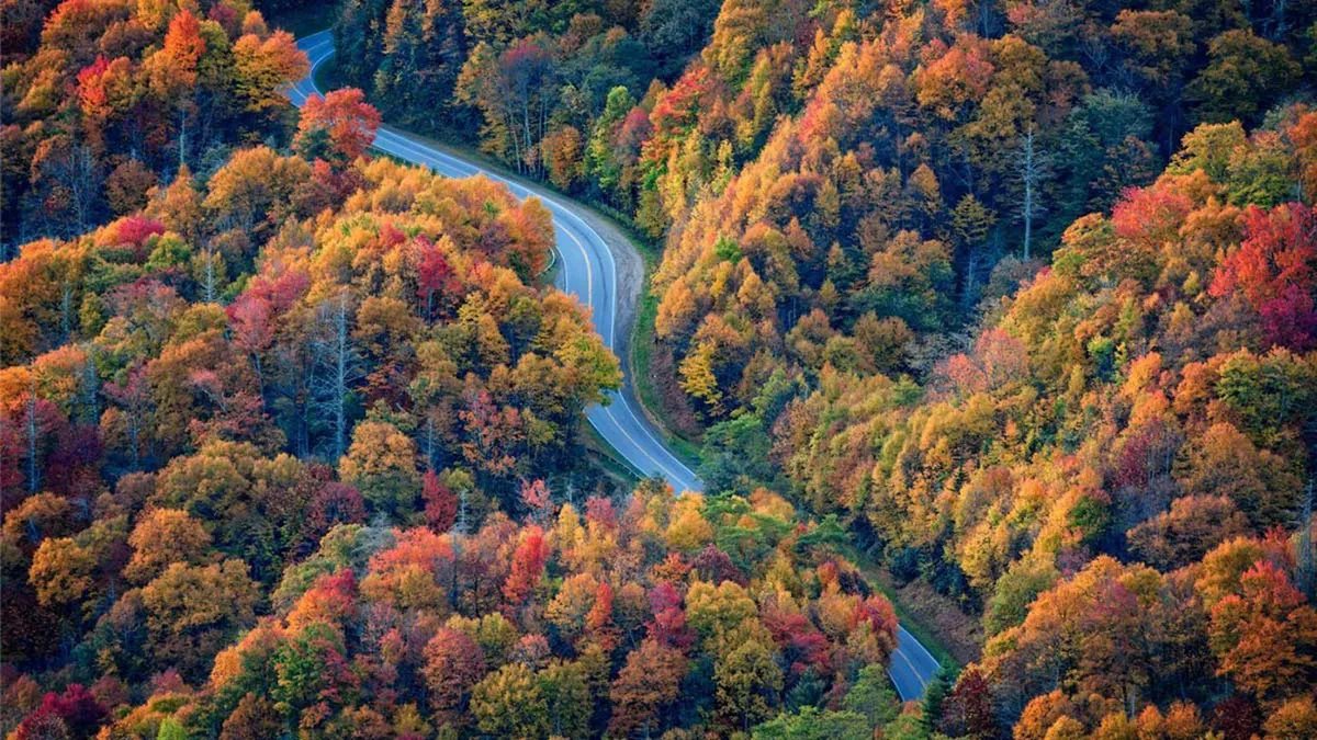 A winding road curves through vibrant fall foliage and rolling hills, offering a sweeping view of the scenic mountain landscape. The colors of the season are in full display, creating an inviting path for hiking, scenic drives, or photography adventures.